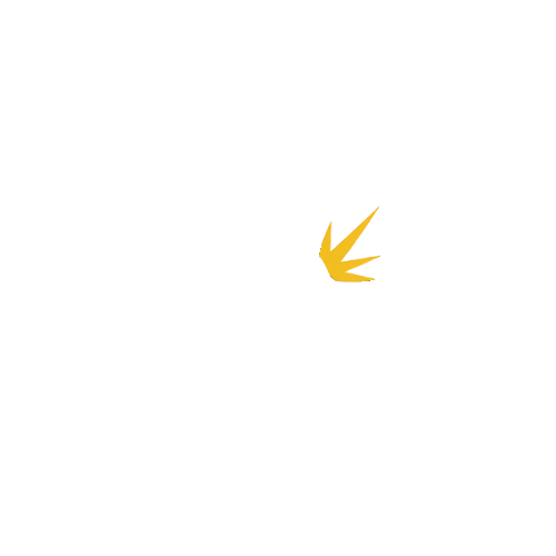 Instituto Internacional Nova Vita